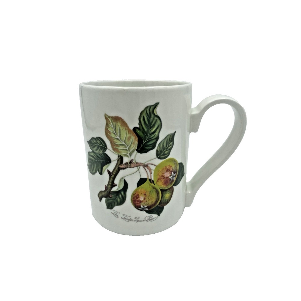 Vintage Portmeirion Pomona Coffee‎ Tea Mug Cup Squash Pear Straight 4.25"